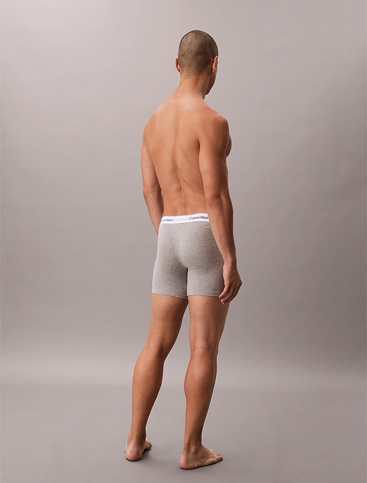ICON COTTON STRETCH - BOXER BRIEF 3PK