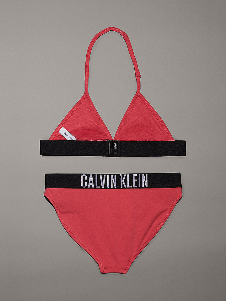 INTENSE POWER - TRIANGLE BIKINI SET