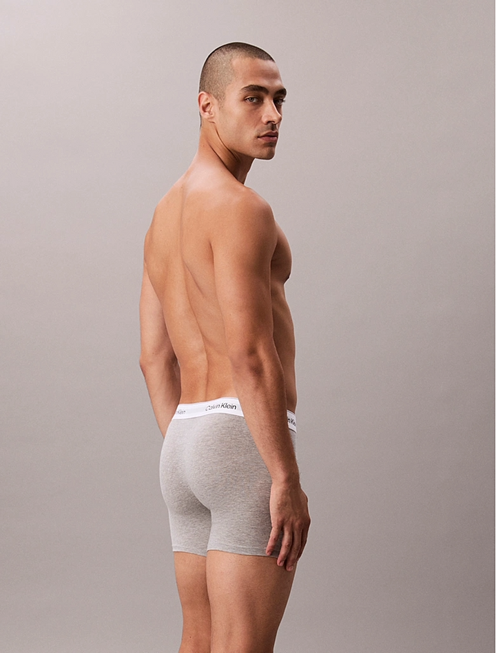 ICON COTTON STRETCH - BOXER BRIEF 3PK