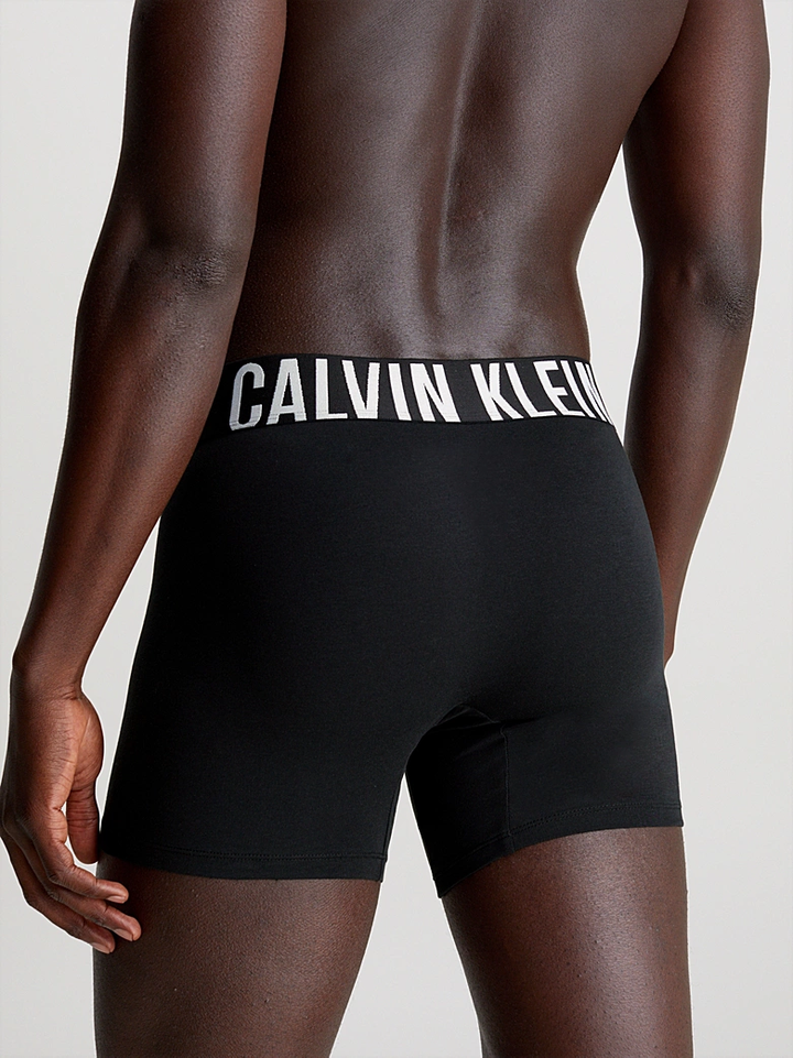 INTENSE POWER - BOXER BRIEF 3PK
