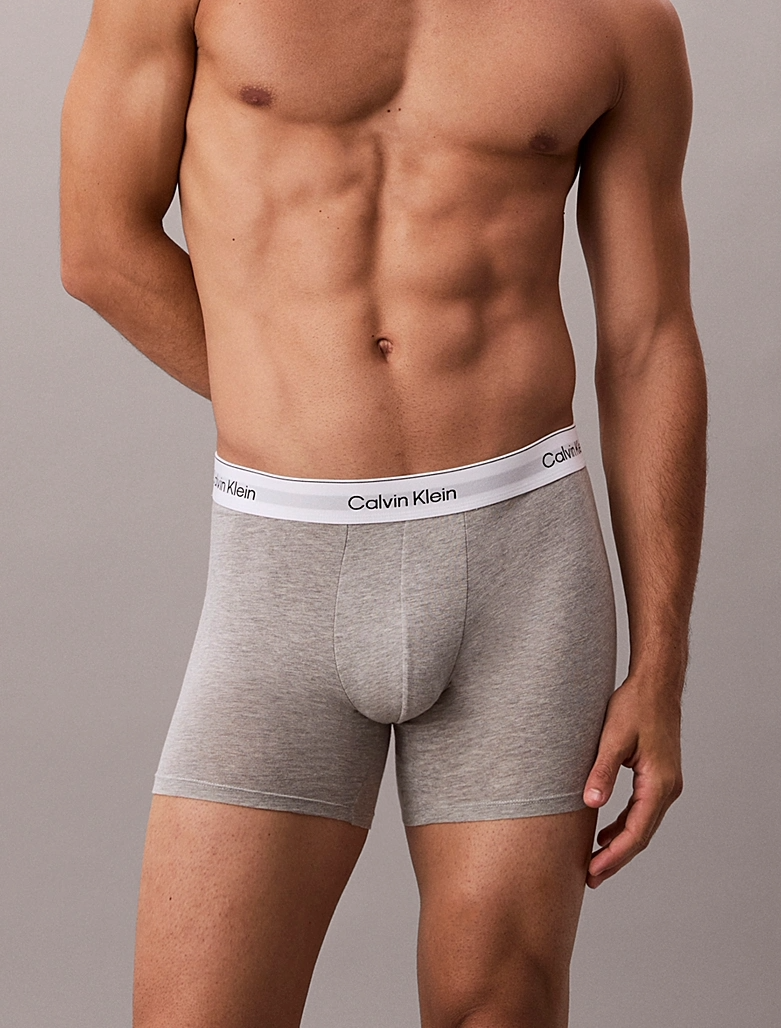 ICON COTTON STRETCH - BOXER BRIEF 3PK