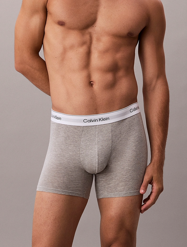 ICON COTTON STRETCH - BOXER BRIEF 3PK