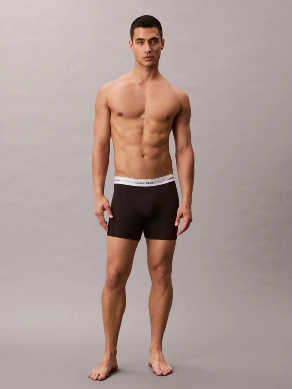 ICON COTTON STRECH BOXER BRIEF 5PK