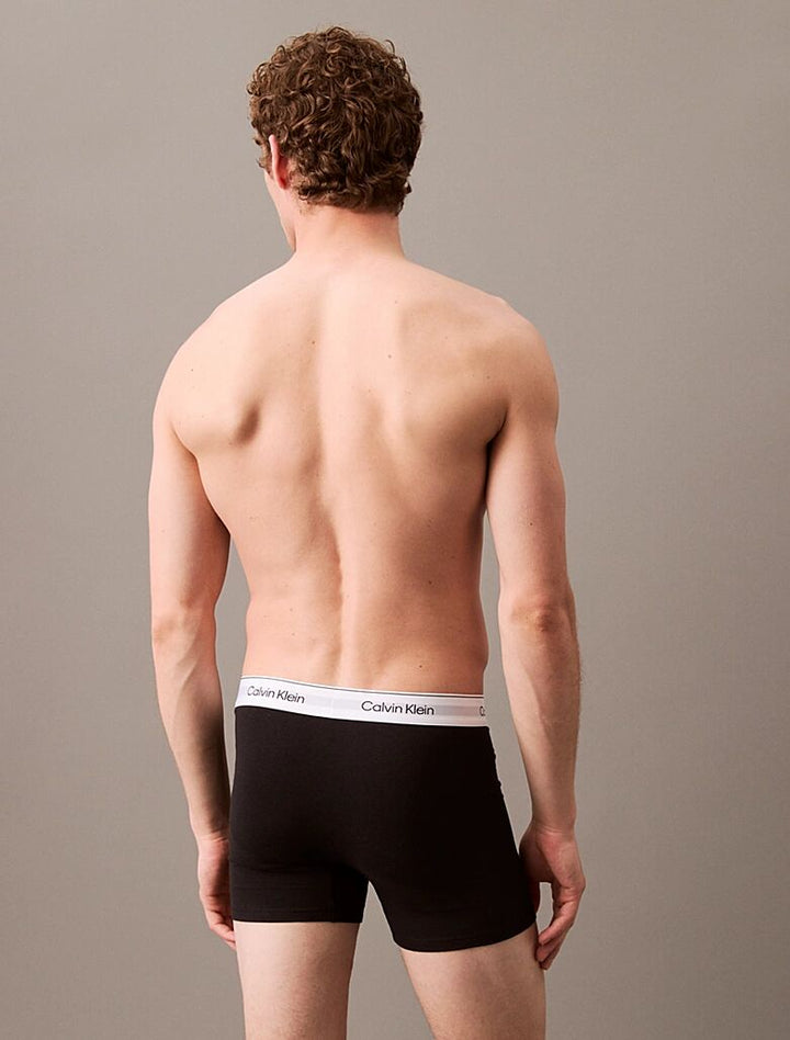ICON COTTON STRETCH - BOXER BRIEF 3PK