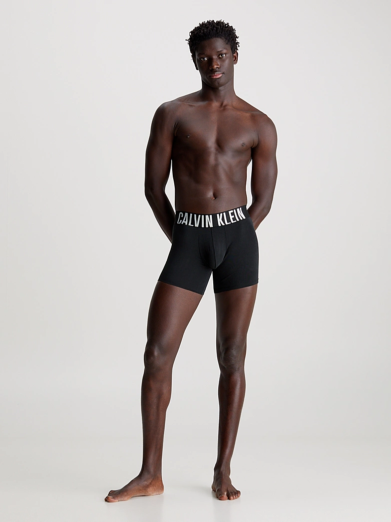 INTENSE POWER - BOXER BRIEF 3PK
