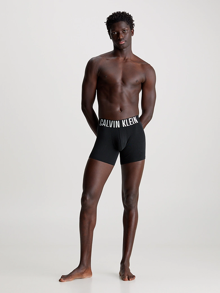 INTENSE POWER - BOXER BRIEF 3PK