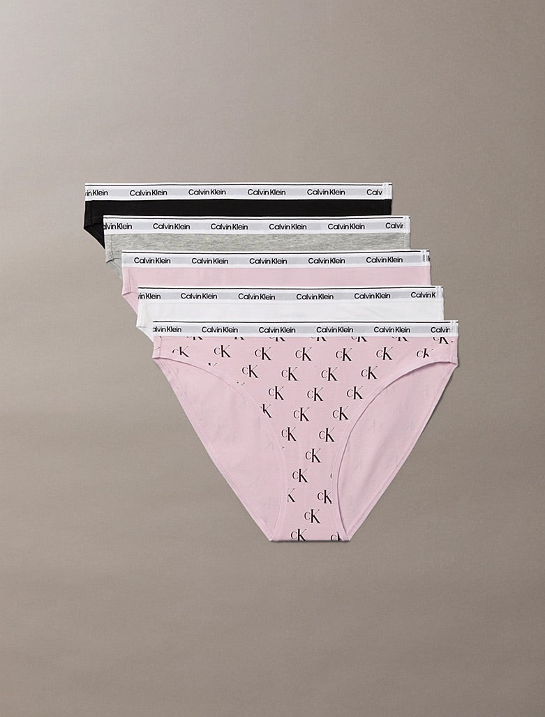 ICON LOGO - BIKINI BRIEF 5PK