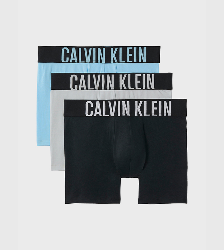 INTENSE POWER - BOXER BRIEF 3PK