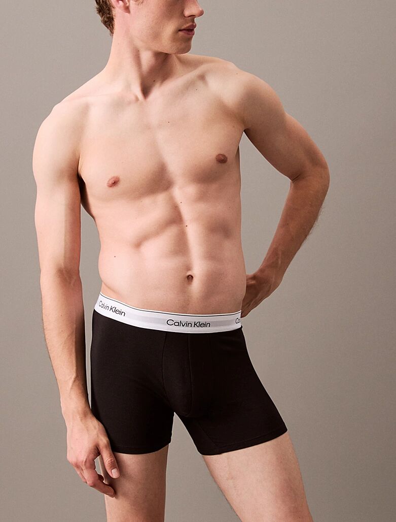 ICON COTTON STRETCH - BOXER BRIEF 3PK