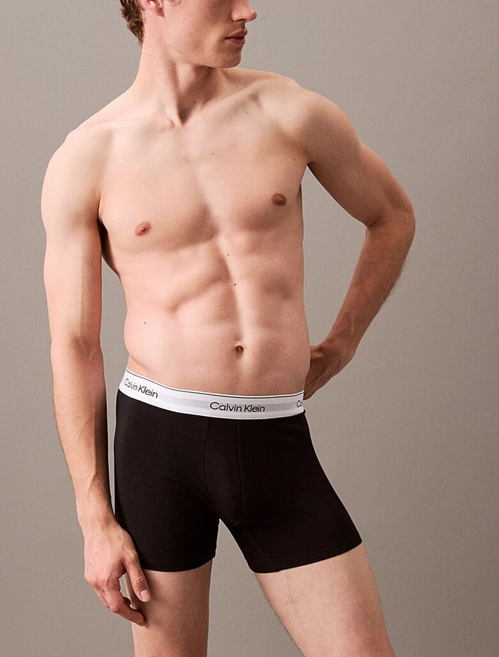 ICON COTTON STRETCH - BOXER BRIEF 3PK