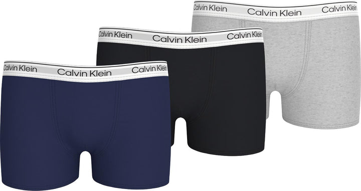 3PK TRUNK