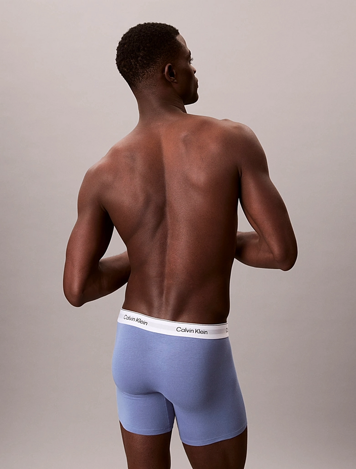 ICON COTTON STRETCH - BOXER BRIEF 3PK