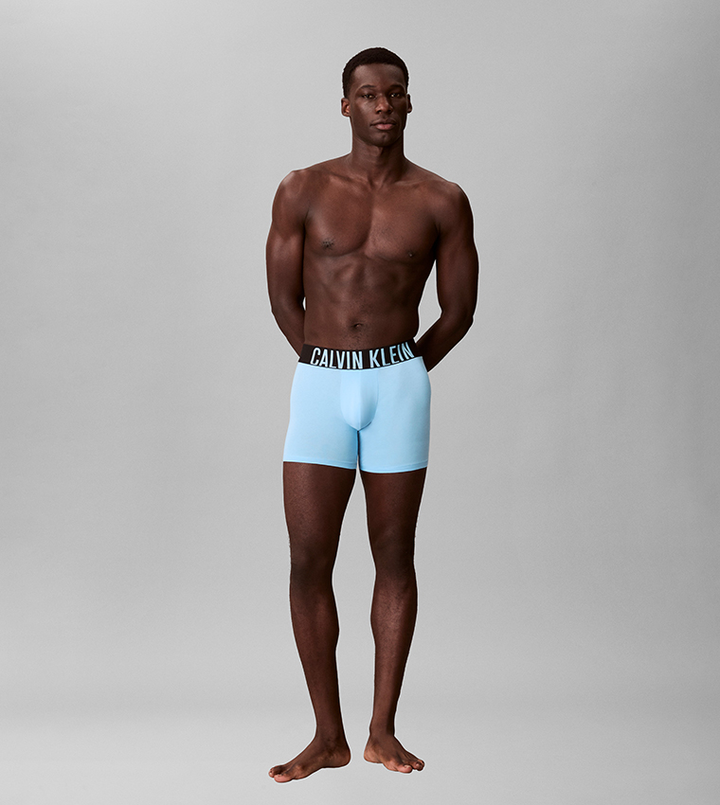 INTENSE POWER - BOXER BRIEF 3PK