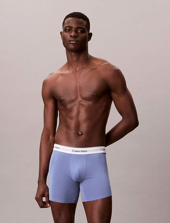 ICON COTTON STRETCH - BOXER BRIEF 3PK